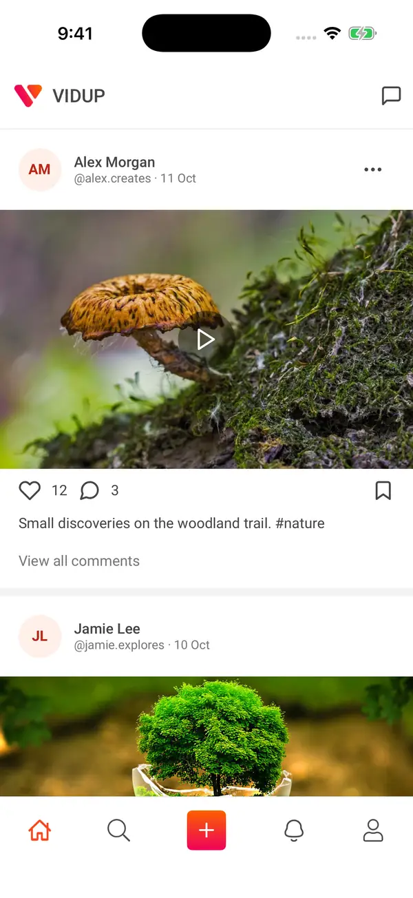 Vidup video feed with sample records